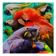Canvas Hobby Renkli Papağanlar 70 x 90 cm Rulo Sayılarla Boyama Seti