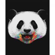 Canvas Hobby Rulo 100 x 140 cm Pandam Renkli Sayılarla Boyama Seti