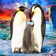 Canvas Hobby Rulo 100 x 140 cm Penguen Ailesi Sayılarla Boyama Seti