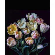 Canvas Hobby Rulo 100 x 140 cm Yaşam Çiçeği Sayılarla Boyama Seti