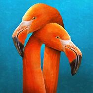 Canvas Hobby Sarilan Flamingo 50 x 65 cm Rulo Sayılarla Boyama Seti