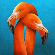 Canvas Hobby Sarılan Flamingo 70 x 90 cm Rulo Sayılarla Boyama Seti