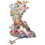 Canvas Hobby Zarif Kuş Rulo 100x140 cm Sayılarla Boyama Seti