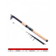 Captain 1526 100 200 gr Atar 300 cm Arrow Teleskopik Kamış