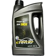 Carlio 5W30 5 lt Partiküllü Motor Yağı