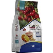 Carni Life Dog Puppy 12 kg Balık Portakal Köpek Maması