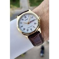 Casio CSISTE118 Erkek Kol Saati