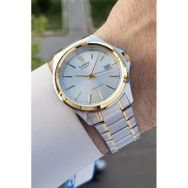 Casio CSISTE50 Gold Gümüş Erkek Kol Saati
