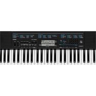 Casio CTK-3200 Org