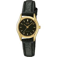 Casio LTP-1094E-1ARDF Kadın Kol Saati