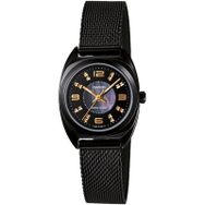 Casio LTP-1363BD-1ADF Kadın Kol Saati