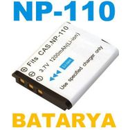 Casio NP110 Sanger Kamera Bataryası