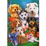 Castorland Puppies 1000 Parça Puzzle