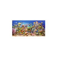 Castorland Underwater Life Balıklar 4000 Parça Puzzle
