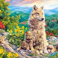 Castorland Yeni Jenerasyon 1000 Parçalık Puzzle