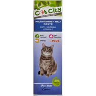 Cat City Anti Hairball Multivitamin 100 gr Kedi Malt Macunu