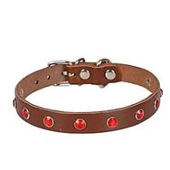 Cattie Gerçek Deriden Taşlı Kahverengi Large 1.2x23-28 cm Kedi Boyun Tasması