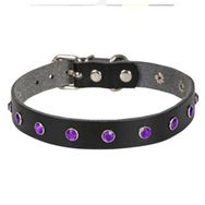Cattie Gerçek Deriden Taşlı Siyah Small 1x16-20 cm Kedi Boyun Tasması