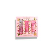 Caudalie 3 lü Rose De Vigne Set