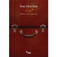 Caz - Toni Morrison