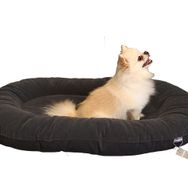 CecePet Leo Serisi Small 80x60 cm Kedi ve Köpek Yatağı