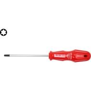 Ceta Form 4400-T25M Torex Torx Uçlu T25x100 mm Tornavida