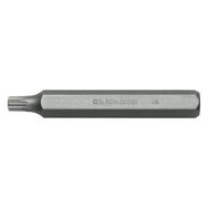 Cetaform CB/3106G 75 mm Xzn M06 Bits Uzun Tip Uç