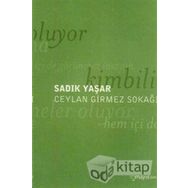 CEYLAN GIRMEZ SOKAĞI - SADIK YAŞAR