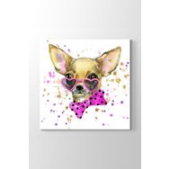 Chihuahua Tablosu