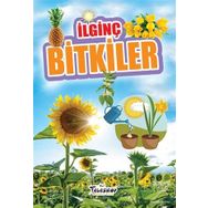 Çılgın Bitkiler - Yusuf Asal