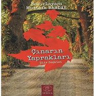 Çınarın Yaprakları Mustafa Bardak