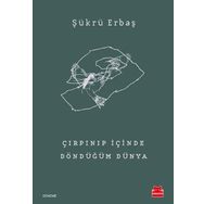 Çırpınıp İçinde Döndüğüm Dünya - Şükrü Erbaş