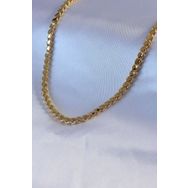 Clariss 316L Çelik Gold Renk Arpa Model Kadın Kolye