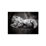 Clementoni 39422BM 1000 Parça Kitty Yavru Kedi Yetişkin Puzzle