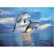 Clementoni Delfini 500 Parça Puzzle