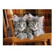 Clementoni Kittens 500 Parça Puzzle