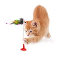 CMT Vantuzlu Fare Kedi Oyuncağı