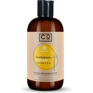 Co Professional Yıpranmış Saçlar İçin Onarıcı 250 ml Şampuan