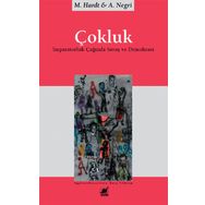 Çokluk - Ayrıntı Yayınları