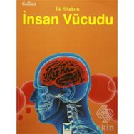 Collins İlk Kitabım - İnsan Vücudu / Kollektif / Mavi Kelebek Yayınları