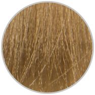 Color Naturel 60 ml 10.11 Saç Boyası