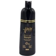Color One 300 ml Saç Siyahlaştırıcı Beyaz Kapatıcı Şampuan Boya