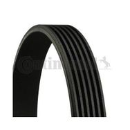 Continental 6PK1125 Kanallı Kayış