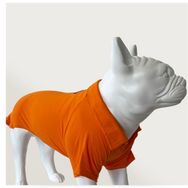 Cool Suit M Turuncu Lacoste Küçük-Orta-Büyük Irk Köpek Kıyafeti