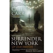 Çöp Çocuk Cinayetleri - Caleb Carr