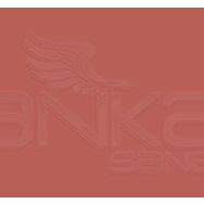 Copic Various Ink E17 Reddish Brass Marker Kalem
