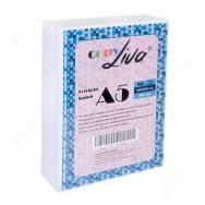Copy Liva 80 gr 2 Paket 1000 Sayfa A5 Fotokopi Kağıdı