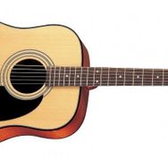 Cort AD880NS Akustik Gitar