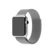 CoverZone Apple Watch 44 mm Mıknatıslı Metal Kayış Gümüş ENT Kordon