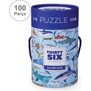 Crocodile Creek 100 Parça Köpek Balıkları Puzzle